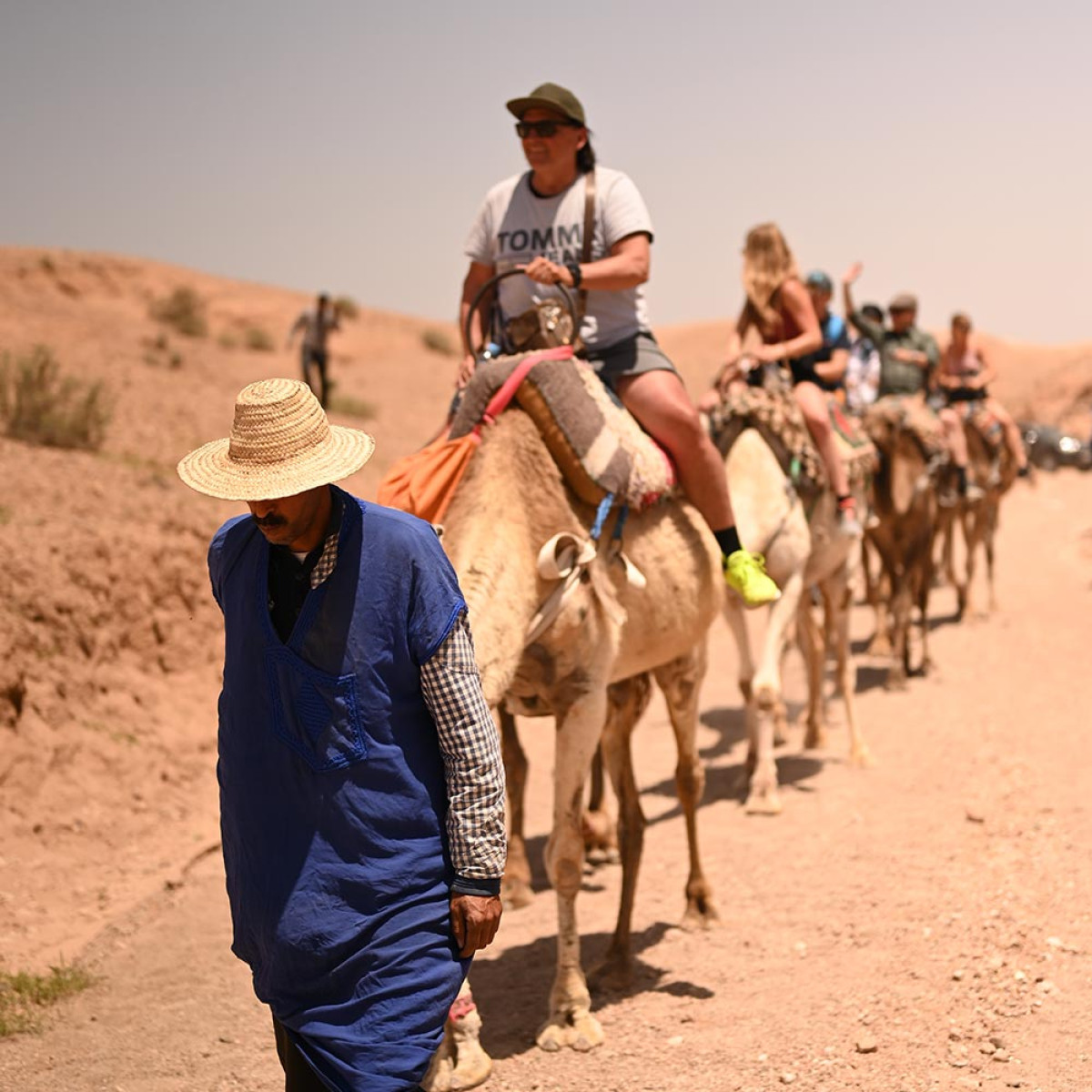 Kameelrijden in Marrakech? Ga op kamelensafari